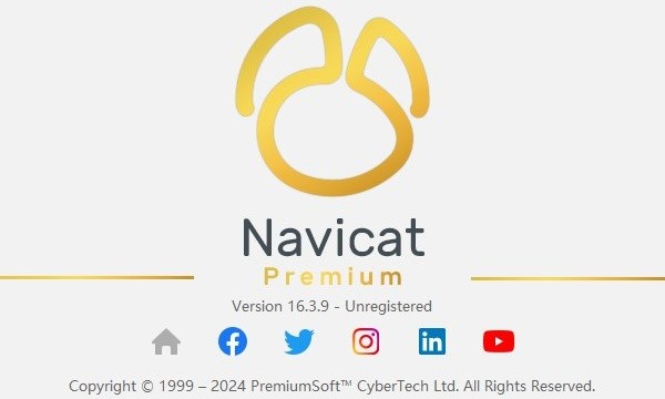 navicat premium 16破解版电脑版